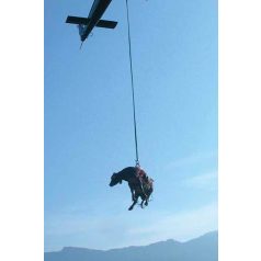 Emelő Hám Nagy Állatmentő