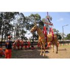 Nagyméretű Állatmentő Készlet STANDARD-PROFI